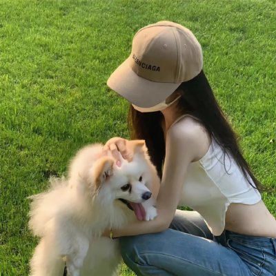 漂亮马驹